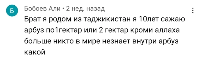When you decide to learn from experts - Watermelon, Comments, Filkina Literacy, Craftsmen, Youtube, teach, Who is right?