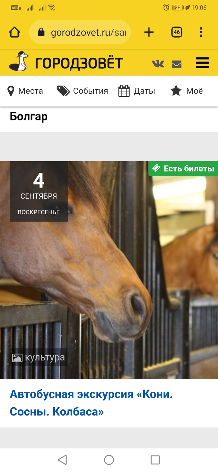 ���� ����� �������