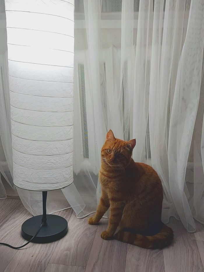 ��������� ��� � �����