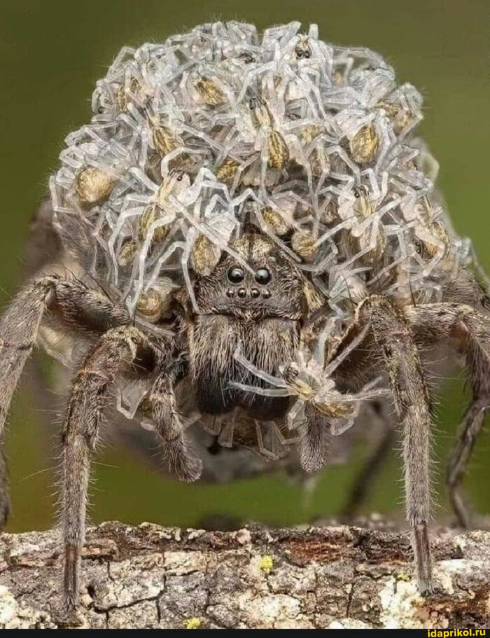 ,     , , 