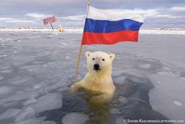 The United States was outraged by the development of Russia in the Arctic - Politics, Russia, Arctic