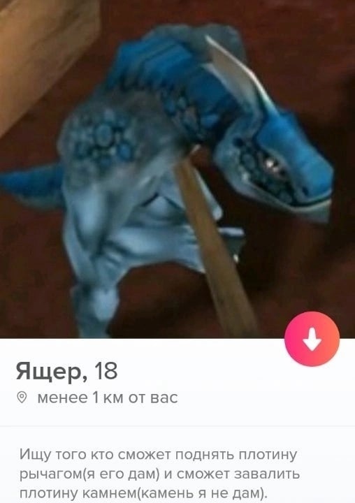 Безудержное веселье на сайтах знакомств - Юмор, Из сети, Скриншот, Tinder, Сайт знакомств, Анкета, Профиль, Мат, Длиннопост