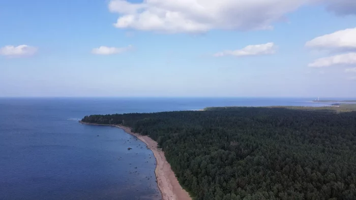 Финский залив с коптера - Моё, Ленинградская область, Финский залив, Квадрокоптер