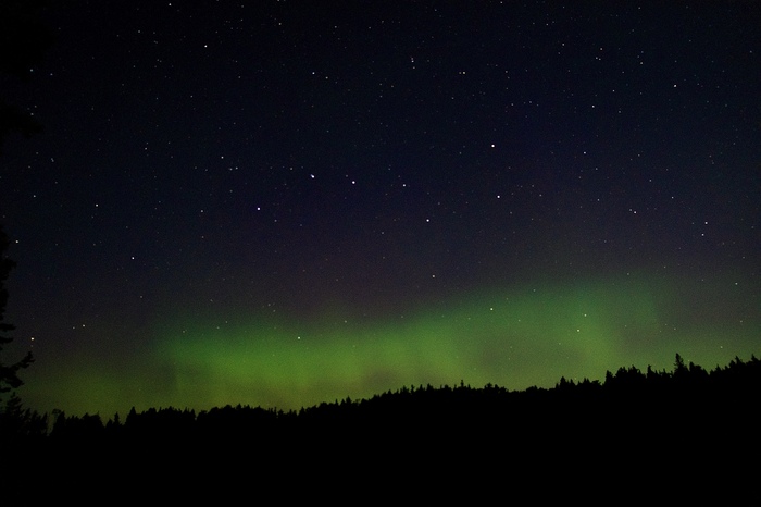 �������� ������ � ���� ������������� �������