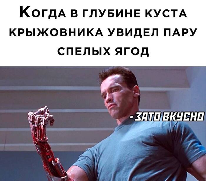  ,   ,   , , , 