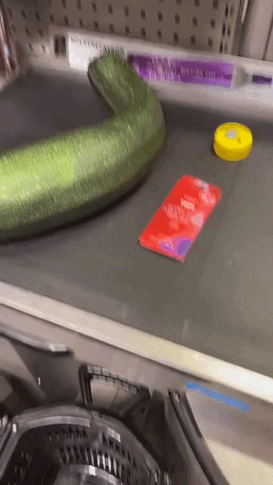 Baby, you're going to burst - Zucchini, Grease, Condoms, GIF, Cash register, Cashier