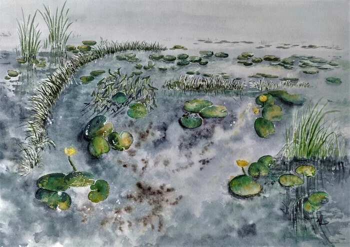 Water lilies, watercolor - My, Artist, Self-taught artist, Painting, Watercolor, Modern Art, Painting, Beginner artist, Painting, Plein air, Landscape, Water lily, Longpost