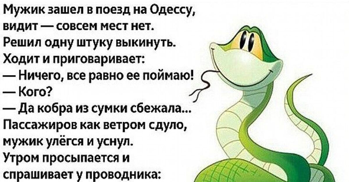 Видит вообще. Анекдоты про кобру. Кобра прикол. Империя смеха. Империя позитива новое.