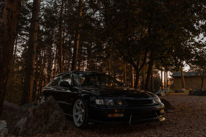 Dawn in the forest - My, Honda, Honda accord, The photo, Forest, dawn, Auto
