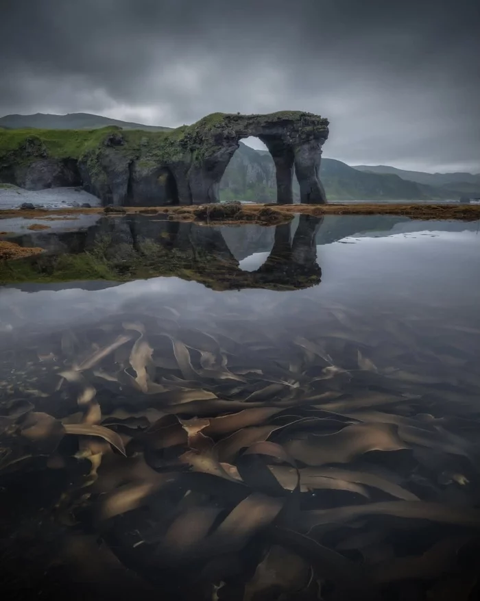 Painting by a great artist: basalt, seaweed - Kurile Islands, Simushir, Landscape, The photo, Travel across Russia