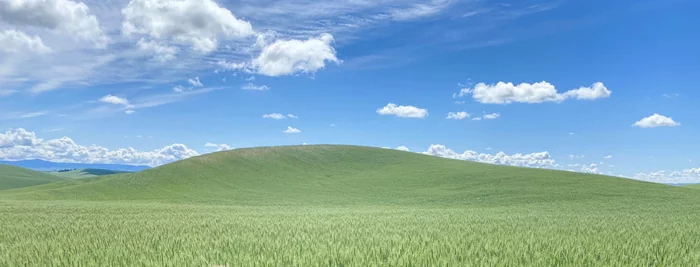 21 years of Windows XP. Let's remember how it was - Windows, Windows XP, Computer, Longpost, Story, Informative, Inventions, Useful, IT