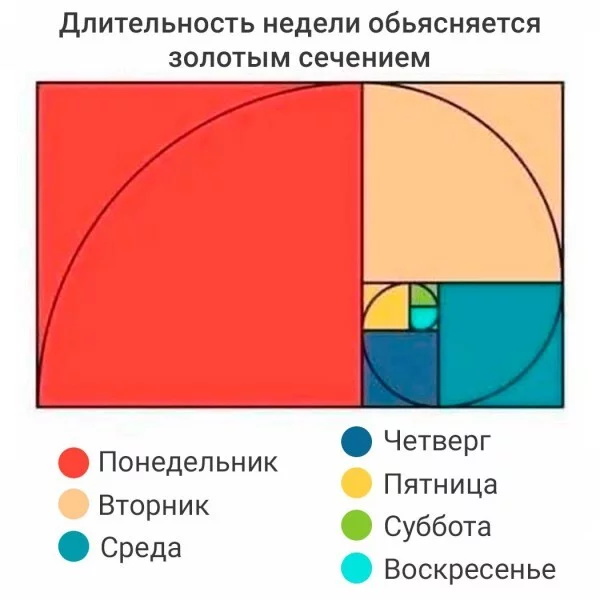The length of the week is explained by the golden ratio - Diagram, Work, Work week, Golden ratio, Weekend, Monday, Picture with text, Repeat