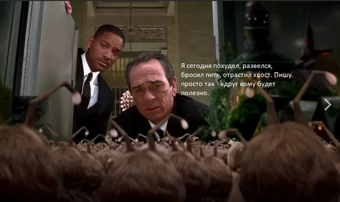 Life on peekaboo - Screenshot, Peekaboo, Posts on Peekaboo, Humor, Men in Black, GIF, Longpost, Movies, Picture with text, Storyboard, Mat