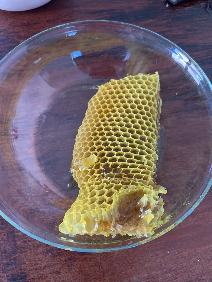 First honey harvest - Honey, Bees, Mite