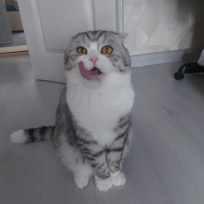 ... !  , ,  