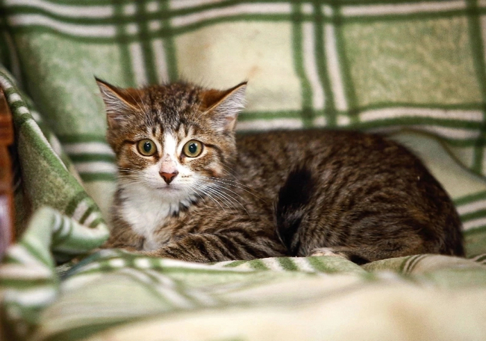 Милейшее созданиея в ответственные ручки