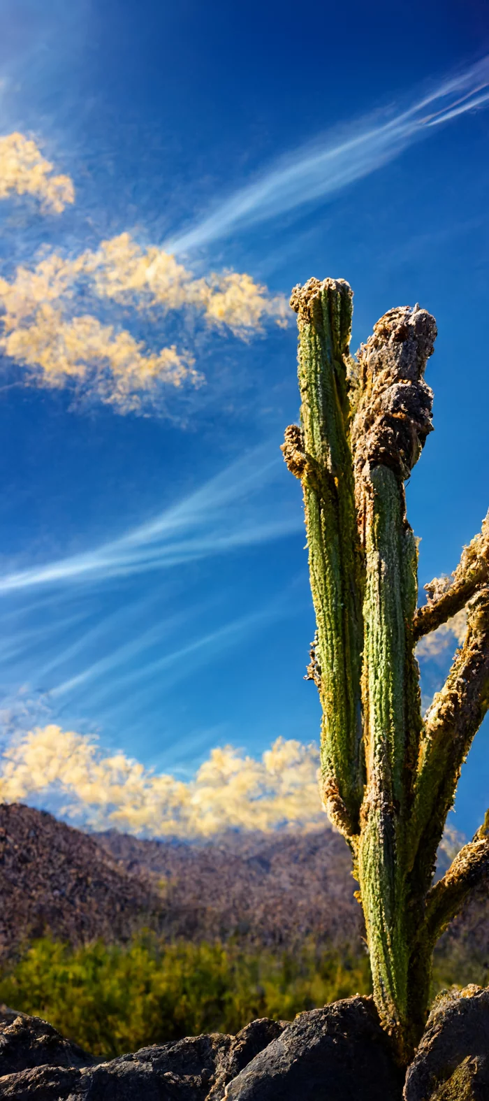 midjourney. Desert - My, Midjourney, Нейронные сети, Art, Nature, Desert, Death Valley, Longpost