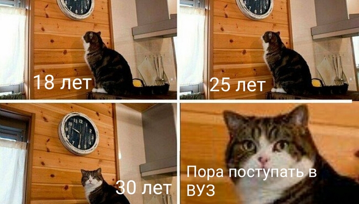         .     ,  ,  HR, , , , , ,  