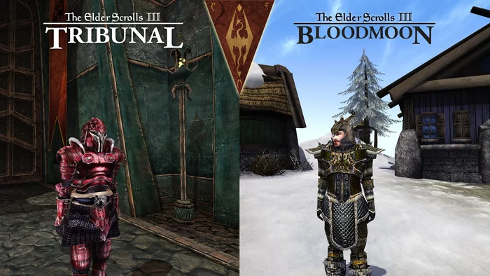 The Elder Scrolls III: Tribunal + Bloodmoon, From the back alleys of ancient Mournhold to the snowy expanses of Saltsheim - Games, Fashion, Retro Games, The Elder Scrolls III: Morrowind, Bloodmoon, Tribunal, Longpost, The elder scrolls