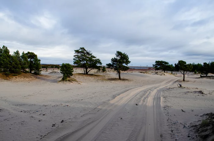 Kuzomensky sands. Kola Peninsula - My, Travel across Russia, Travels, The nature of Russia, Nature, Hike, Kola Peninsula, Карелия, Tent, Camping, Kuzomen, Sand, The photo, Video blog, Landscape, Photographer, Video, Youtube, Longpost