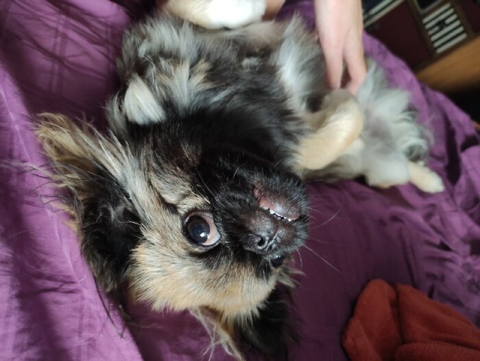 � � ��� �� ����� ���������� ������� � 8-�� �����