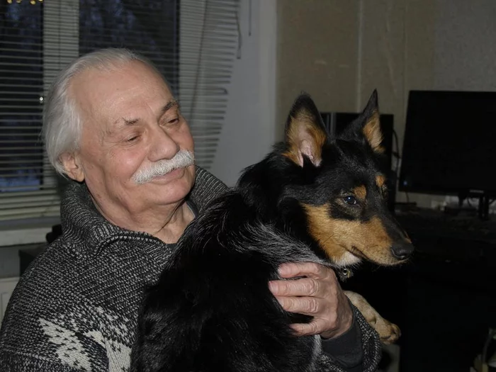 About dog breeds №140. Jackal-dog dog - Shalaika - Dog, Dog breeds, Hybrid, Jackal, Laika, Longpost