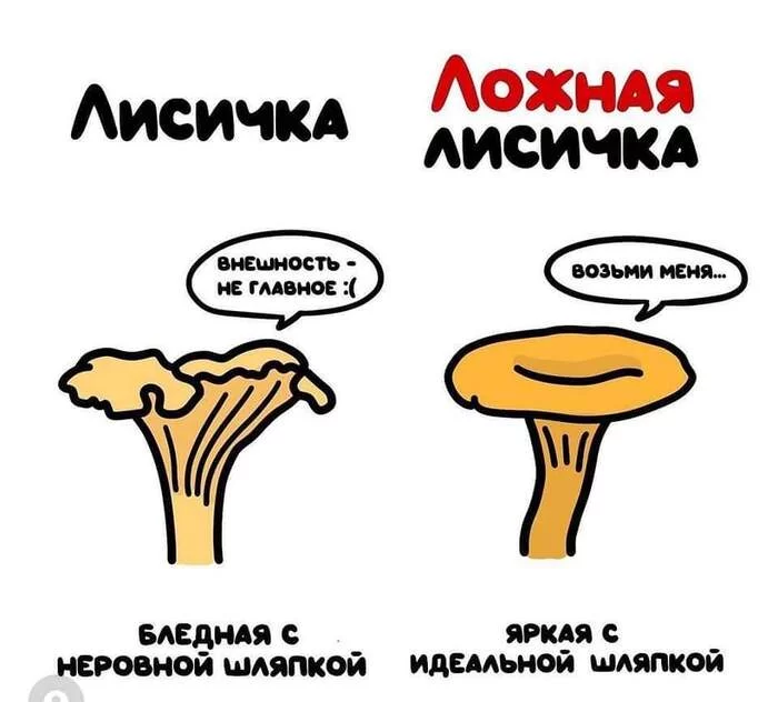 By mushrooms - Mushrooms, Differences, Humor, Longpost, Picture with text