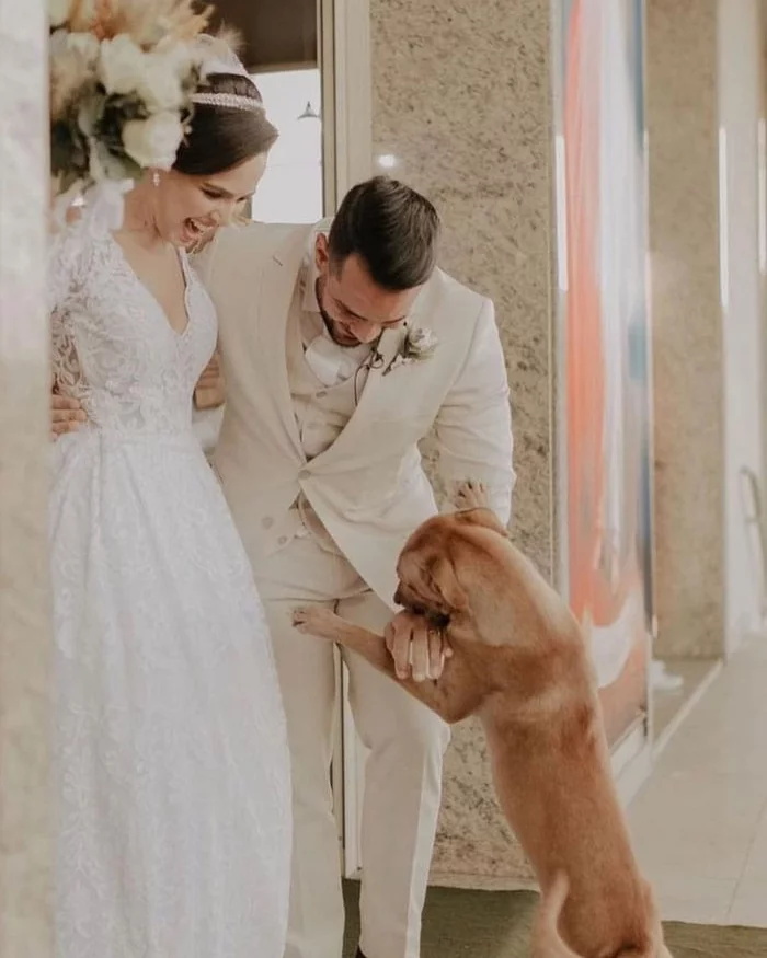 The story of a happy wedding - Wedding, Celebration, Dog, friendship, Husband, Wife, Happiness, Marriage, Family, Kindness, Love, Friend