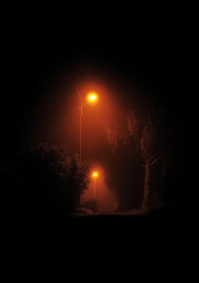 Fog - My, Mobile photography, Beginning photographer, Photographer, The photo, Photo on sneaker, Night, Lamp, Fog, Summer, No filters