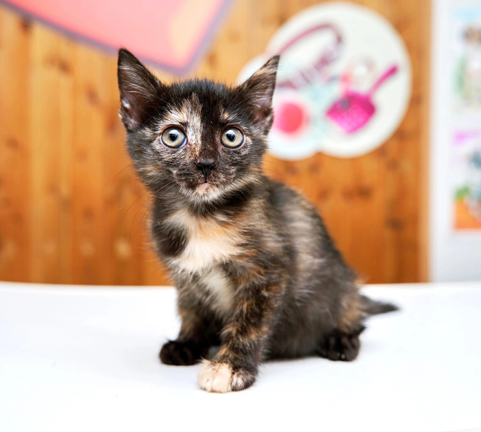 � ����� ������� ������� �����!