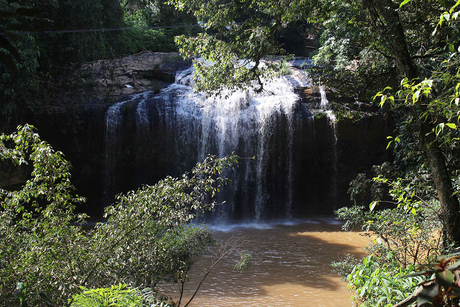 Dear Dalat. Waterfall Prenn - sights, The culture, Nature, The park, Waterfall, Dalat, Tourism, Travels, Vietnam, Longpost, Southeast Asia