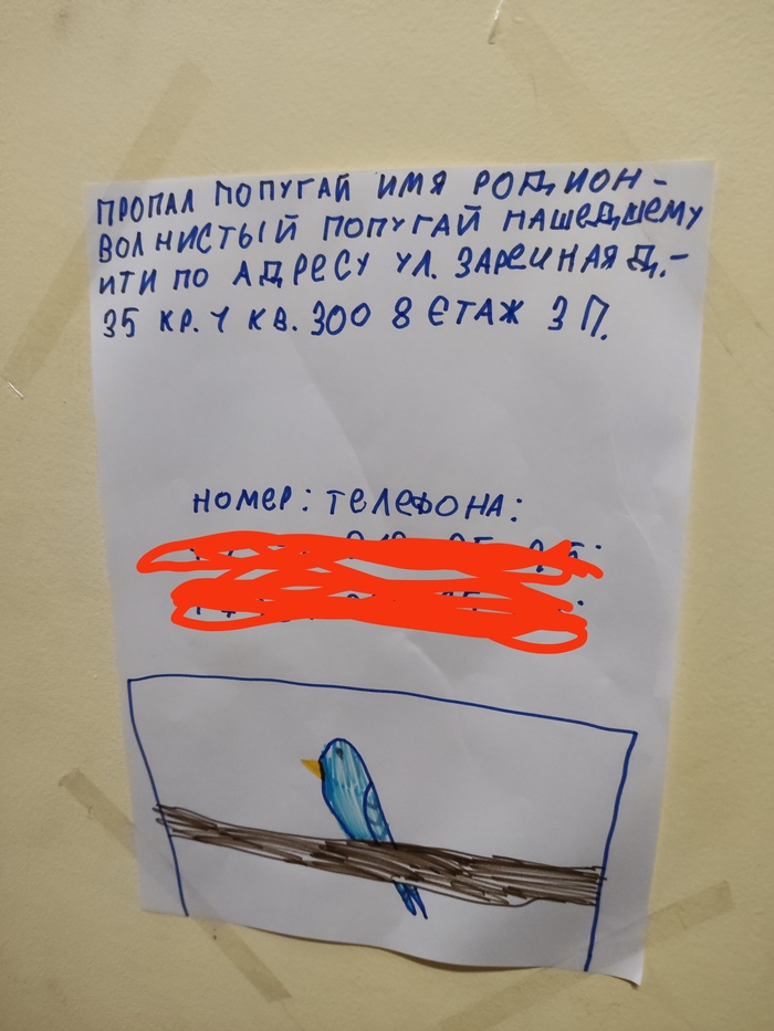 � ��� ���� , ��� , �������� ���������� �������