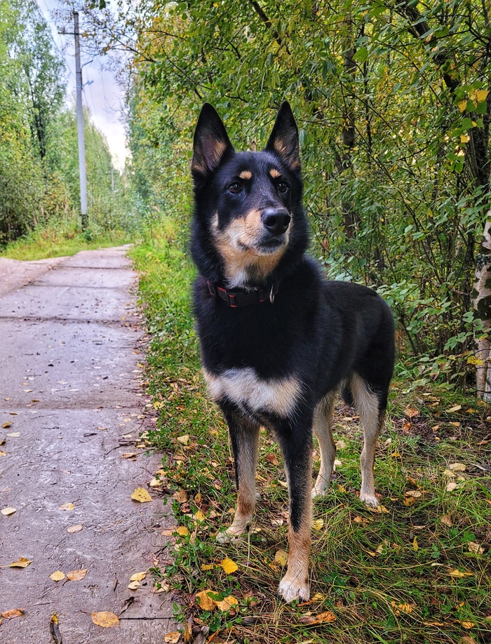 ��������� ������ ����