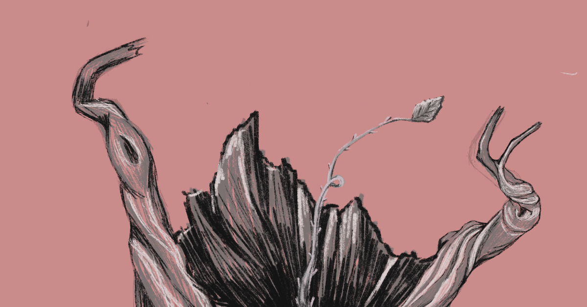 Старый пень | Пикабу