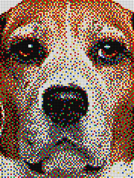 ��� ��� �������������� ����! [�������]