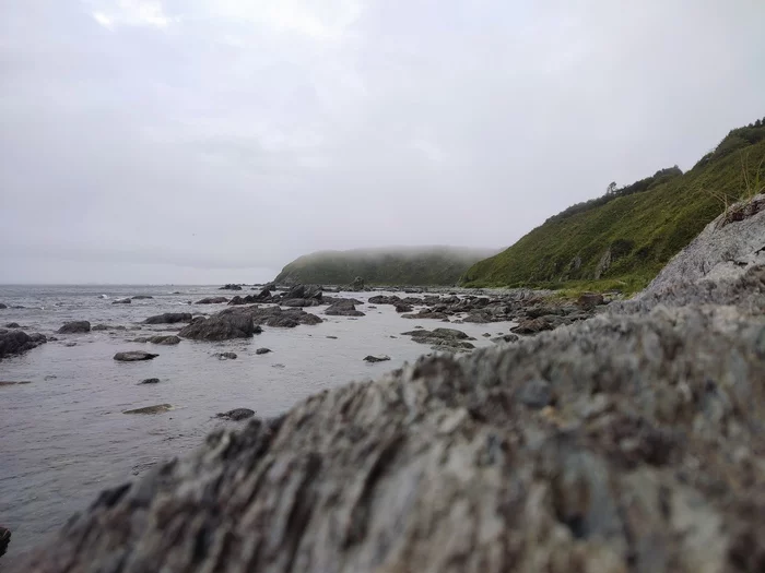 Sharing local beauties. Sakhalin Island Cape Ostry - My, Sakhalin, Dog, Sea, Nature, Relaxation, Tourism, beauty, Video, Youtube, Longpost