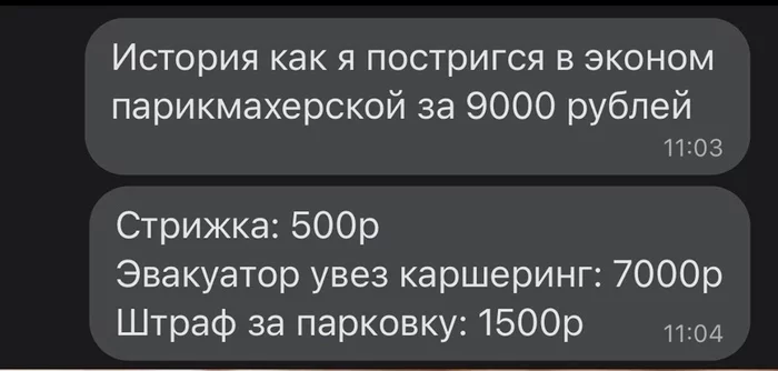 Хотел сэкономить - Сообщения, Стрижка, Эконом, Парикмахерская, Эвакуатор, Неправильная парковка, Ирония, Скриншот, Каршеринг