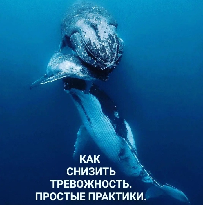    , , 