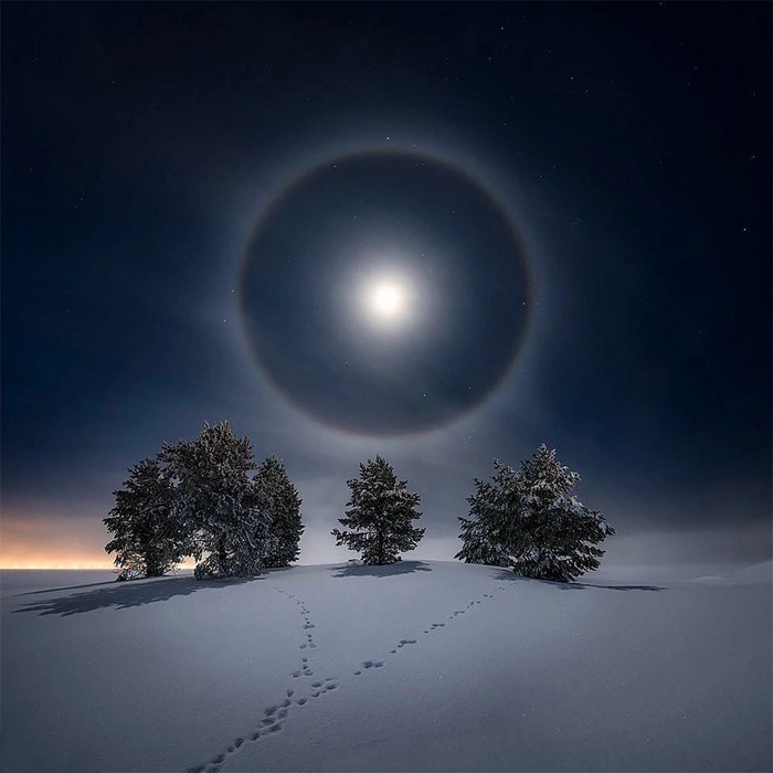 Лунное гало. Остерсунд, Швеция Фотография, Гало, Дерево, Снег, Ночь, Луна, Следы, Оптические иллюзии, Швеция