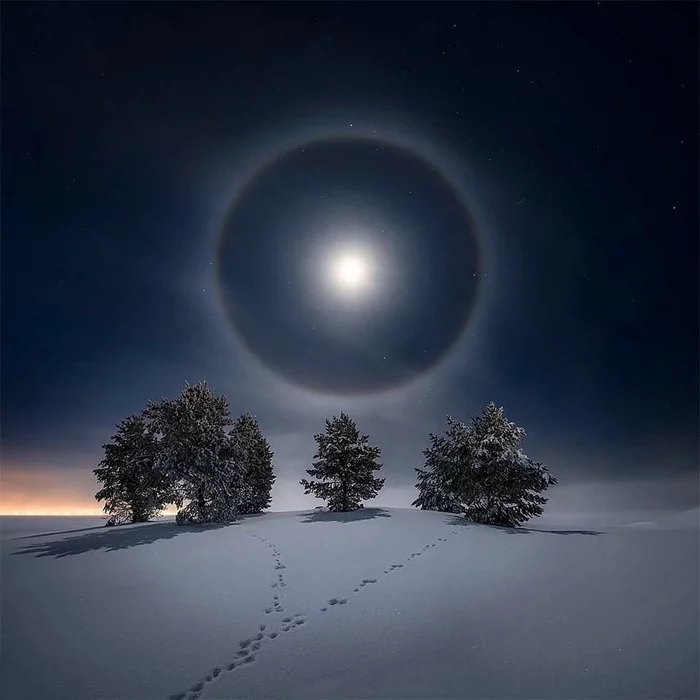 Лунное гало. Остерсунд, Швеция - Фотография, Гало, Дерево, Снег, Ночь, Луна, Следы, Швеция, Оптические иллюзии