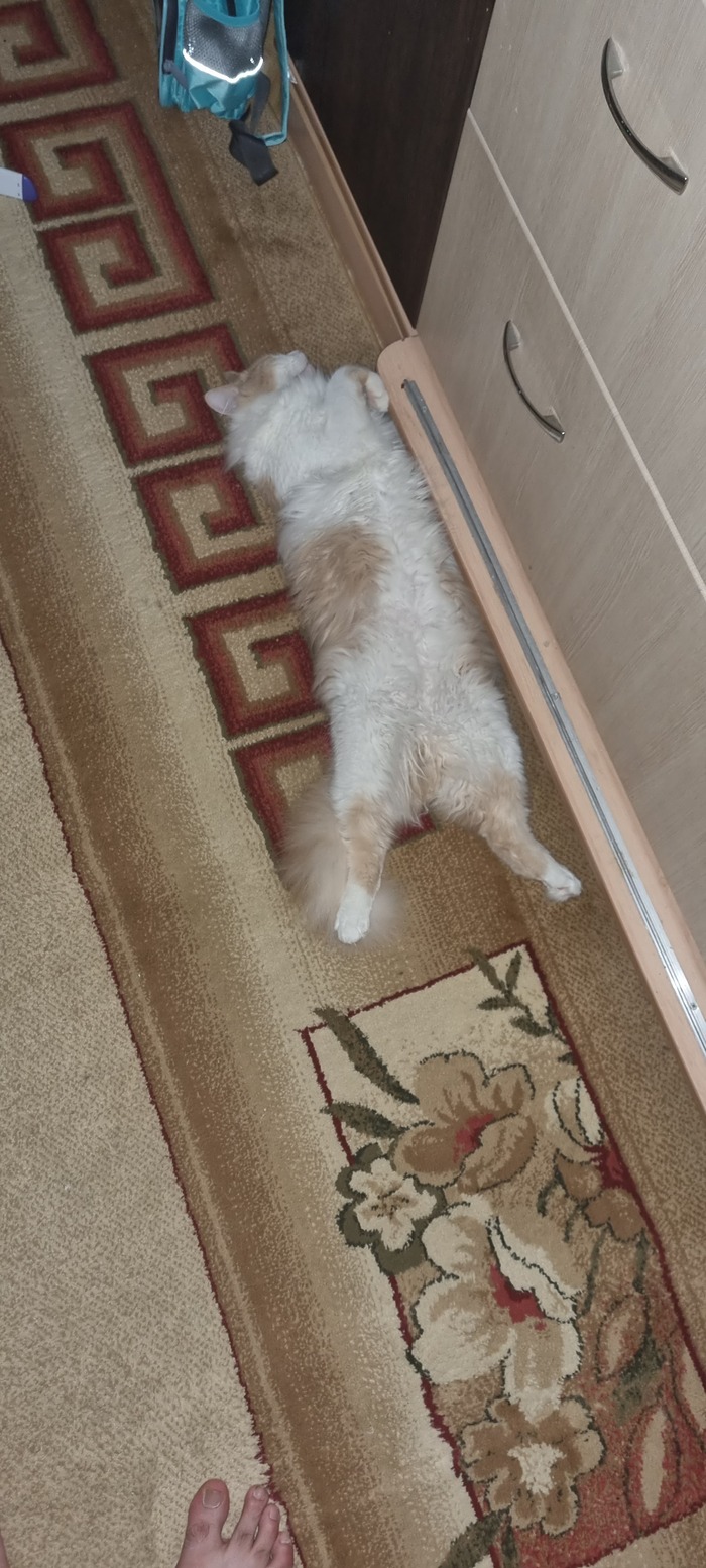     ,  ? , , 