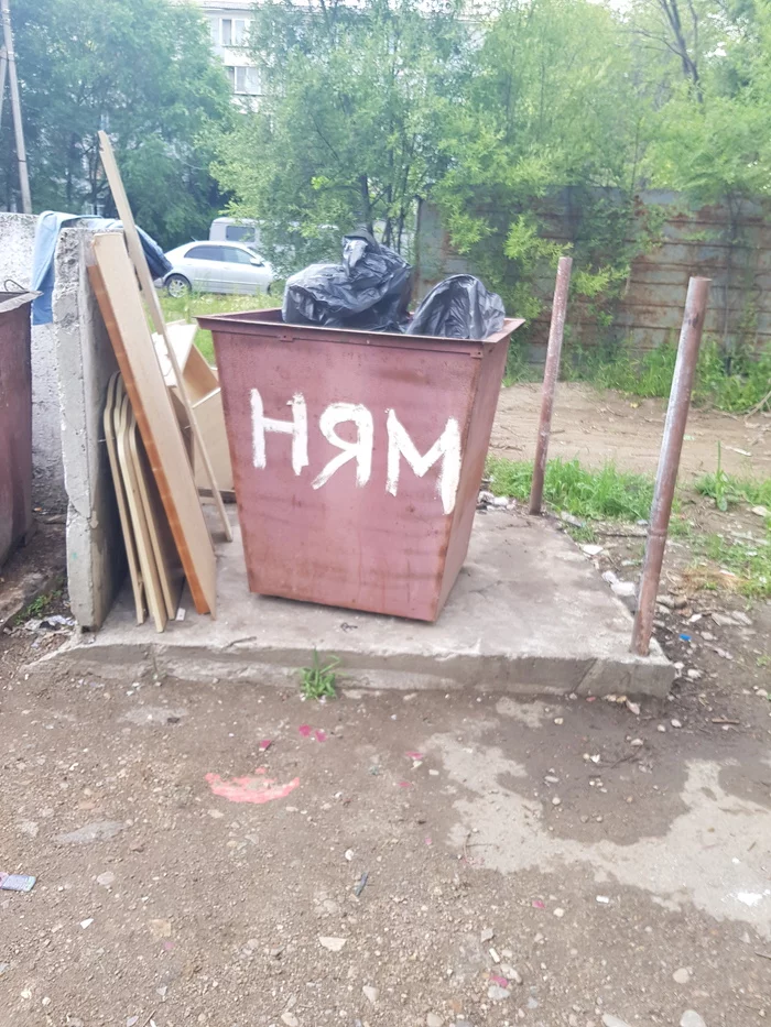 Nice, but maybe not this time - My, Food, Economy, Economy in Russia, Trash can, Healthy eating