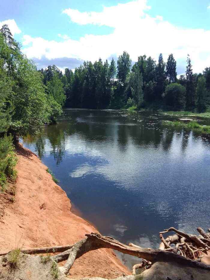 Fishing in Belogorka - My, Fishing, A fish, Oredezh, Nature, River, Siversky, Leningrad region, Spinning, Pike, Mobile photography, Longpost, Relaxation