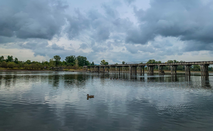 ��������