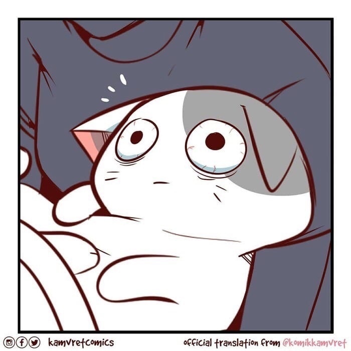 masks - Mask, A fish, Web comic, Longpost, cat, Komikkamvret