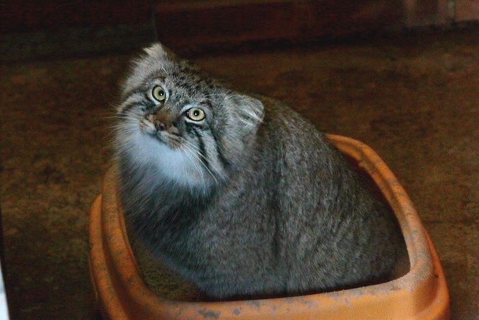    ? ,  ,  ,  ,  , 