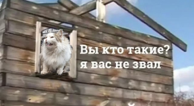 Вы кто такие? Я вас не звал! - Кот, Деревня, Вы кто такие, Я вас не звал, Уходите