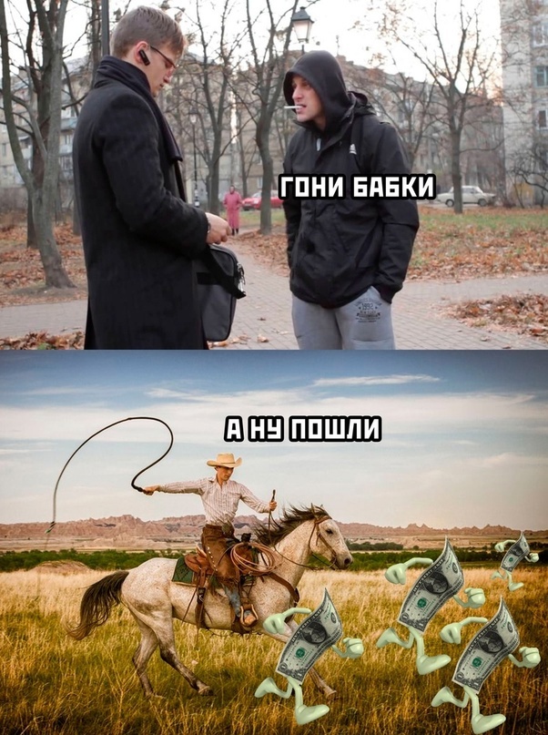 Drive money - Picture with text, Memes, Humor, Images, Sad humor, Pun, Money, Cowboys, Przewalski's horse