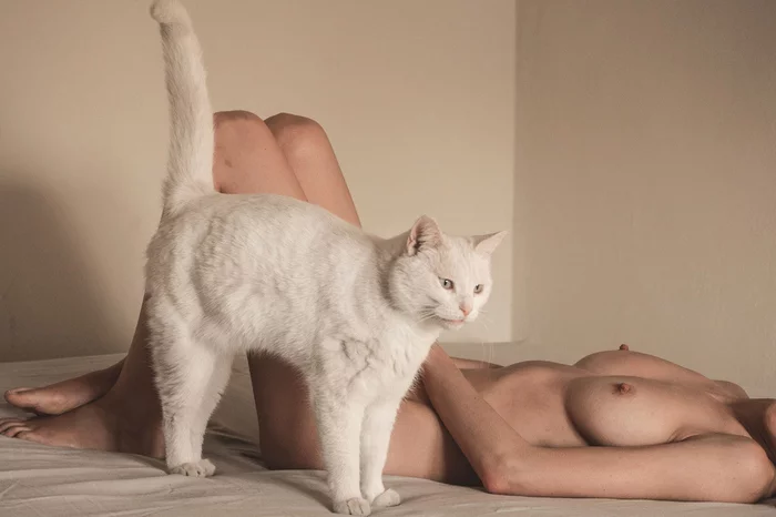 Cats and girls | Ero aesthetic #5 - NSFW, Erotic, The photo, Girls, Boobs, Nudity, Black cat, Longpost