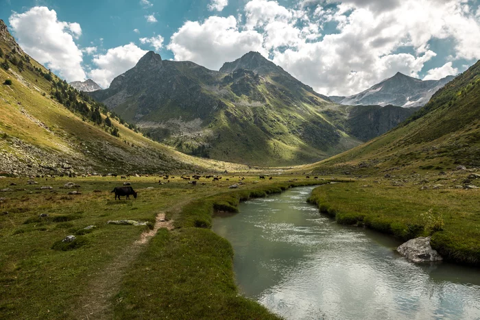 Pasture - My, The mountains, Tourism, Mountain tourism, Hike, The photo, Landscape, Elbrus, Caucasus mountains, River, Pasture, Nature